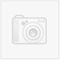 Nebula Woman Shorts BLK XXL Teknisk kamp-og treningsshorts til dame